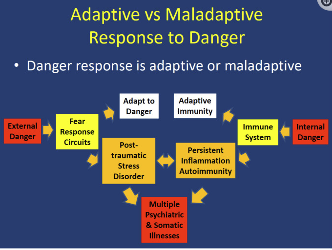 Diagram showing Adaptive vs. Maladaptive Responses to Danger